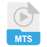 mts format