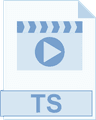 ts format
